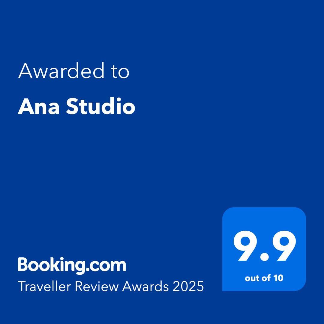 Ana Studio Хунедоара Экстерьер фото